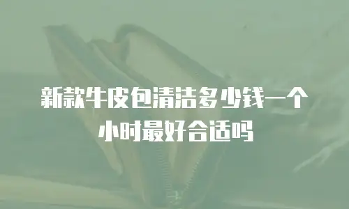 新款牛皮包清洁多少钱一个小时最好合适吗