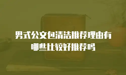 男式公文包清洁推荐理由有哪些比较好推荐吗