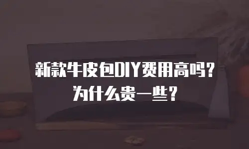 新款牛皮包DIY费用高吗？为什么贵一些？
