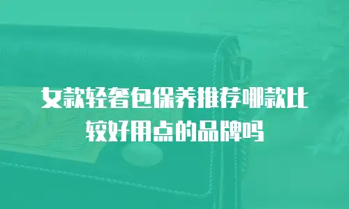女款轻奢包保养推荐哪款比较好用点的品牌吗