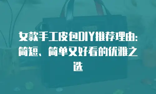 女款手工皮包DIY推荐理由：简短、简单又好看的优雅之选