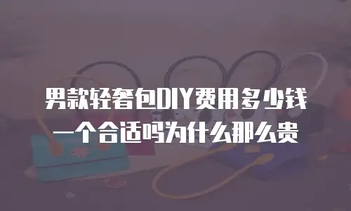 男款轻奢包DIY费用多少钱一个合适吗为什么那么贵