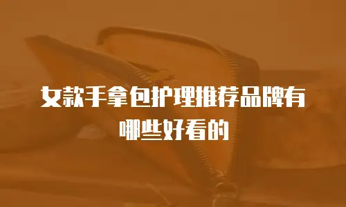 女款手拿包护理推荐品牌有哪些好看的
