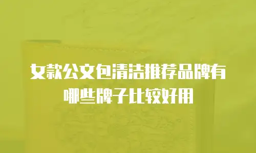 女款公文包清洁推荐品牌有哪些牌子比较好用