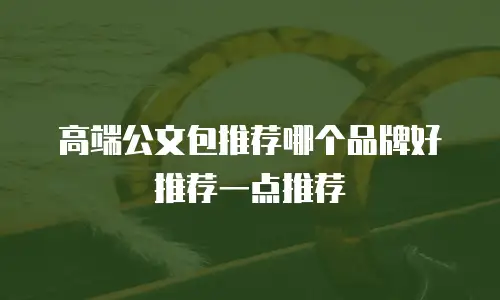 高端公文包推荐哪个品牌好推荐一点推荐
