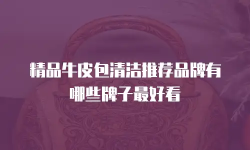 精品牛皮包清洁推荐品牌有哪些牌子最好看