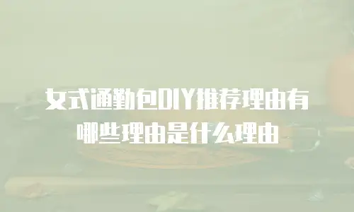 女式通勤包DIY推荐理由有哪些理由是什么理由