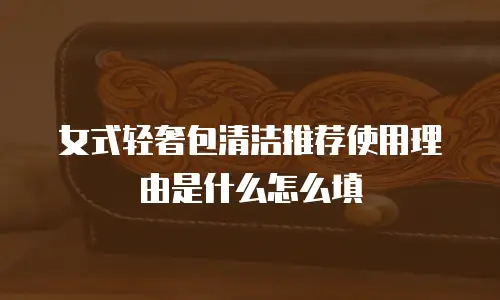 女式轻奢包清洁推荐使用理由是什么怎么填