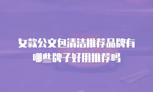 女款公文包清洁推荐品牌有哪些牌子好用推荐吗