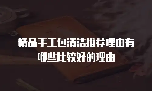 精品手工包清洁推荐理由有哪些比较好的理由