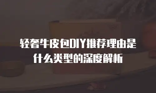 轻奢牛皮包DIY推荐理由是什么类型的深度解析