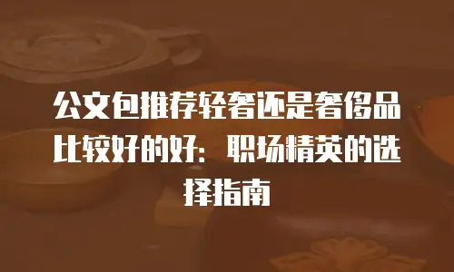 公文包推荐轻奢还是奢侈品比较好的好：职场精英的选择指南
