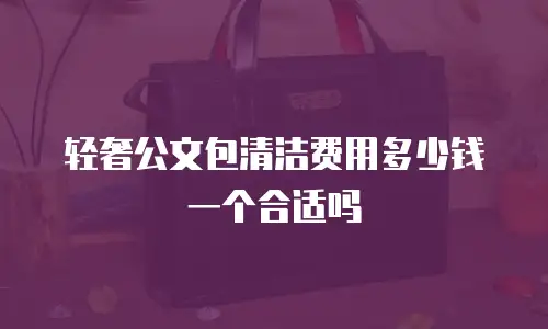 轻奢公文包清洁费用多少钱一个合适吗