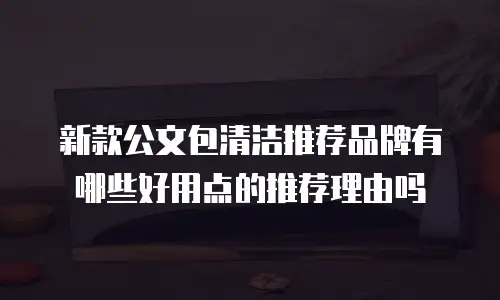 新款公文包清洁推荐品牌有哪些好用点的推荐理由吗