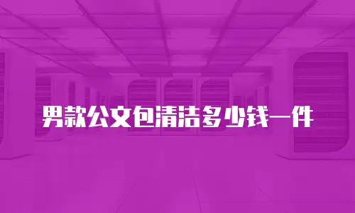 男款公文包清洁多少钱一件