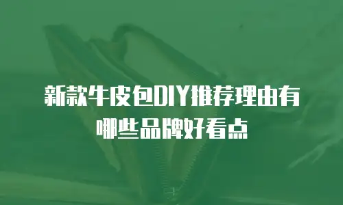 新款牛皮包DIY推荐理由有哪些品牌好看点