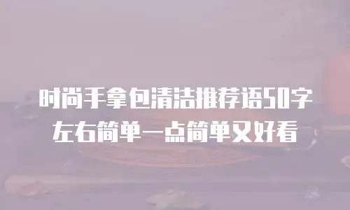 时尚手拿包清洁推荐语50字左右简单一点简单又好看
