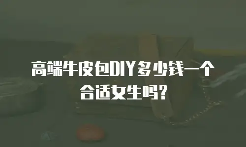 高端牛皮包DIY多少钱一个合适女生吗？