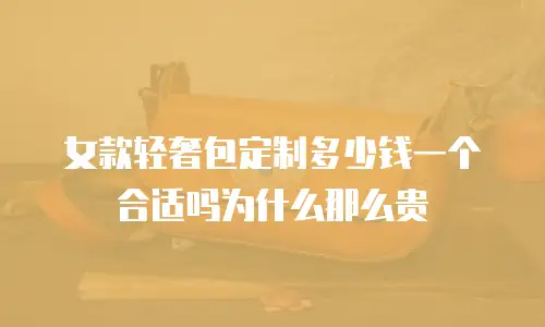 女款轻奢包定制多少钱一个合适吗为什么那么贵