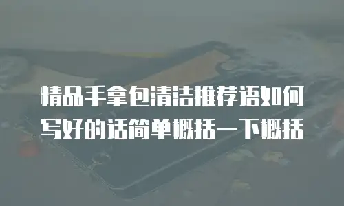 精品手拿包清洁推荐语如何写好的话简单概括一下概括