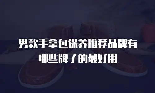 男款手拿包保养推荐品牌有哪些牌子的最好用