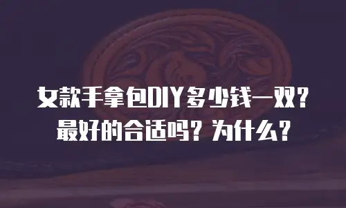 女款手拿包DIY多少钱一双？最好的合适吗？为什么？