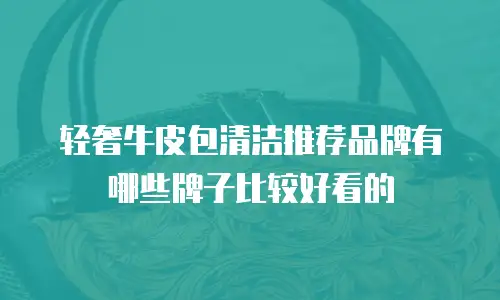 轻奢牛皮包清洁推荐品牌有哪些牌子比较好看的