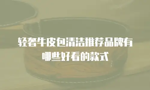 轻奢牛皮包清洁推荐品牌有哪些好看的款式