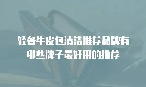轻奢牛皮包清洁推荐品牌有哪些牌子最好用的推荐