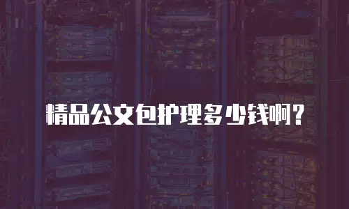 精品公文包护理多少钱啊？