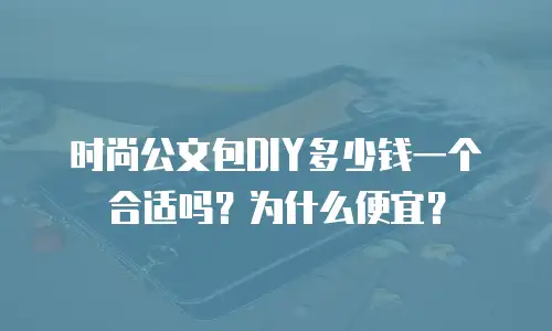 时尚公文包DIY多少钱一个合适吗？为什么便宜？