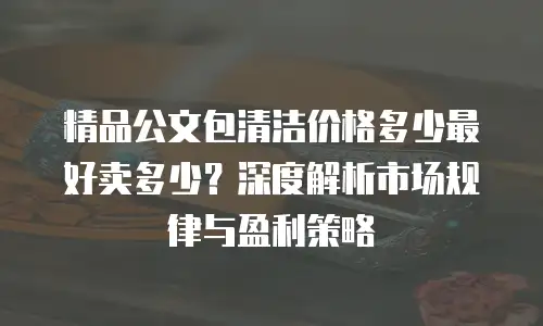 精品公文包清洁价格多少最好卖多少？深度解析市场规律与盈利策略