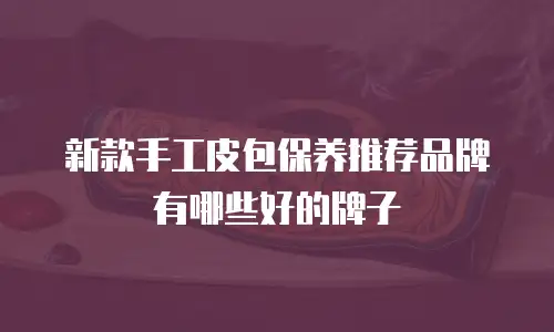 新款手工皮包保养推荐品牌有哪些好的牌子