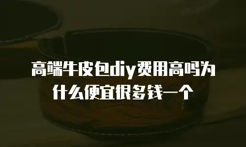 高端牛皮包diy费用高吗为什么便宜很多钱一个