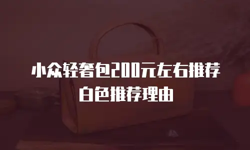 小众轻奢包200元左右推荐白色推荐理由