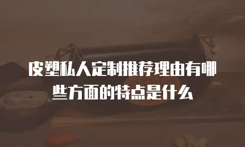 皮塑私人定制推荐理由有哪些方面的特点是什么