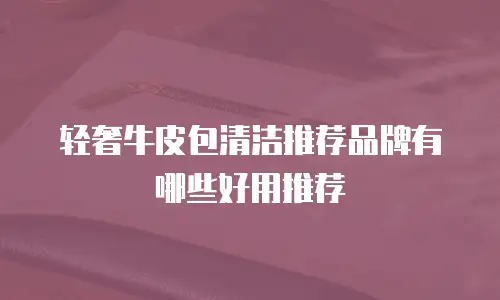 轻奢牛皮包清洁推荐品牌有哪些好用推荐