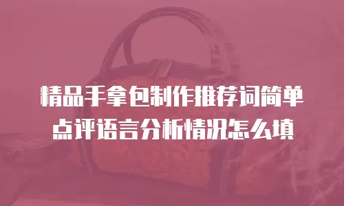 精品手拿包制作推荐词简单点评语言分析情况怎么填