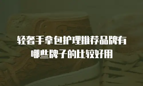 轻奢手拿包护理推荐品牌有哪些牌子的比较好用