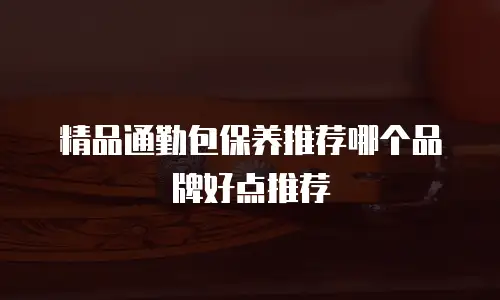 精品通勤包保养推荐哪个品牌好点推荐