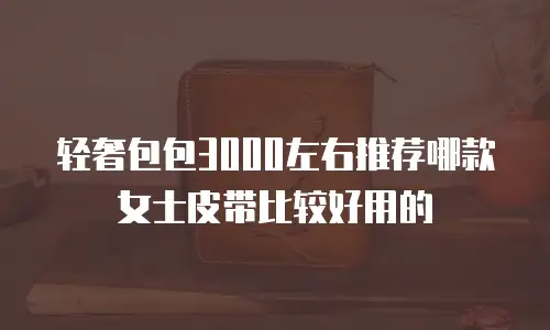 轻奢包包3000左右推荐哪款女士皮带比较好用的