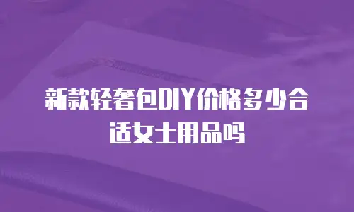 新款轻奢包DIY价格多少合适女士用品吗