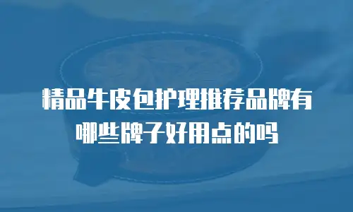 精品牛皮包护理推荐品牌有哪些牌子好用点的吗