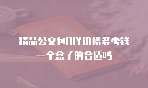 精品公文包DIY价格多少钱一个盒子的合适吗