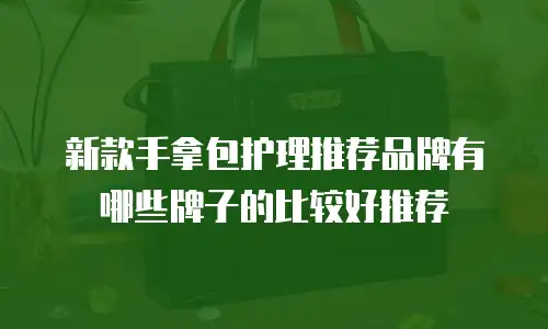 新款手拿包护理推荐品牌有哪些牌子的比较好推荐