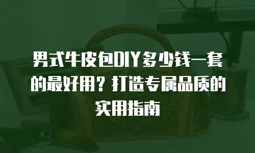 男式牛皮包DIY多少钱一套的最好用？打造专属品质的实用指南