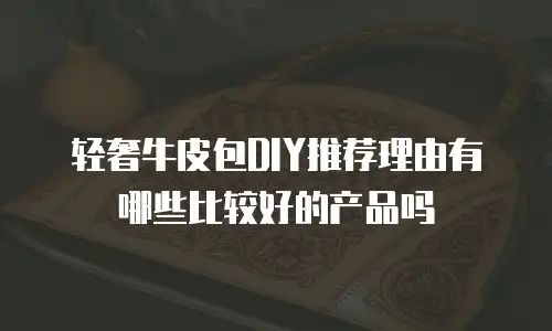 轻奢牛皮包DIY推荐理由有哪些比较好的产品吗