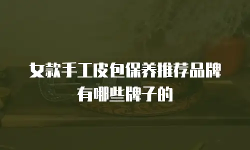 女款手工皮包保养推荐品牌有哪些牌子的