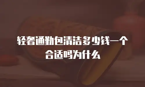轻奢通勤包清洁多少钱一个合适吗为什么