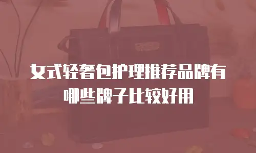 女式轻奢包护理推荐品牌有哪些牌子比较好用